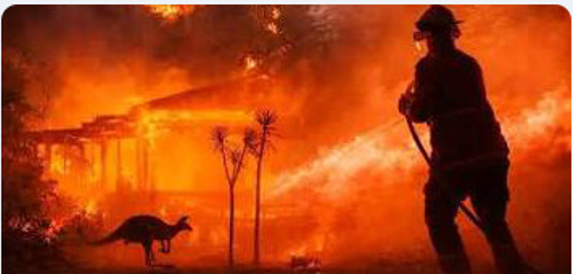 Australia Wildfire Case Study Banner
